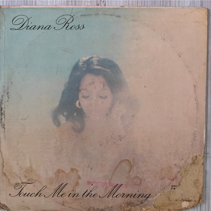 Diana Ross - Touch Me In The Morning (Indian Pressing) ( (Used Vinyl - VG+) PJ Marketplace