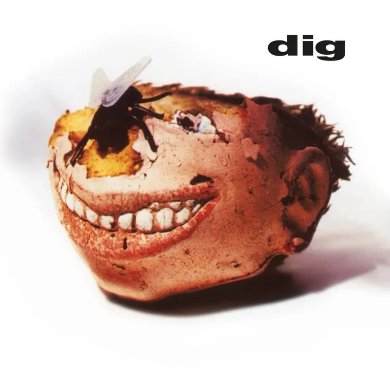 DIG - Dig - Vinyl Record 180g Import