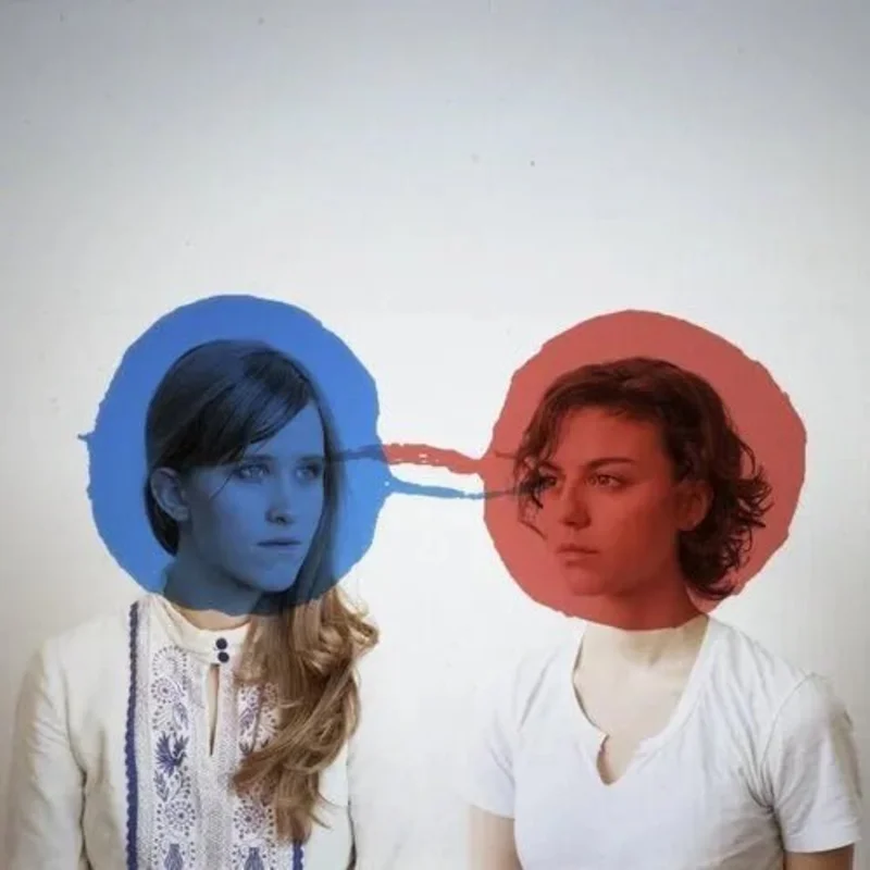 Dirty Projectors - Bitte Orca - Vinyl Record LP