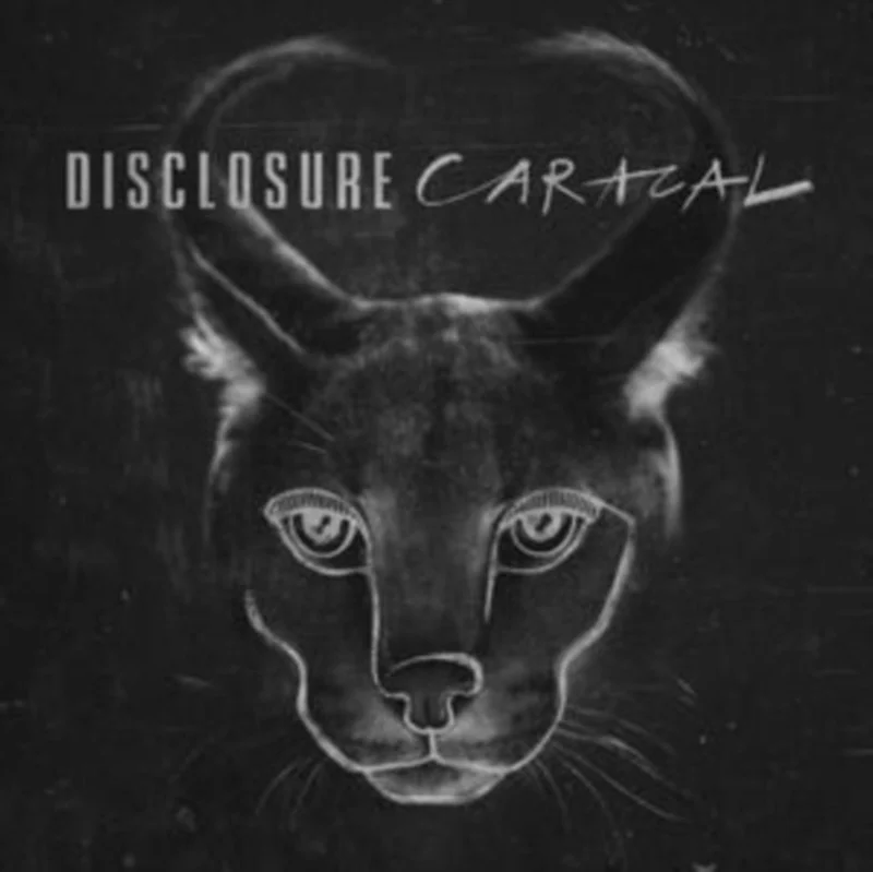 Disclosure - Caracal (10th Anniversary Zoetrope) Vinyl LP