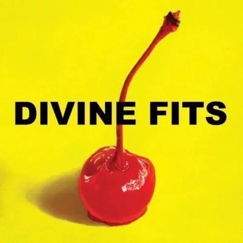 Divine Fits- A Thing Called Divine Fits Vinyl Record