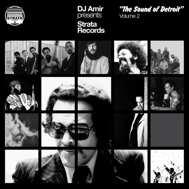 DJ Amir Presents Strata Records: The Sound of Detroit Vol. 2 Vinyl LP
