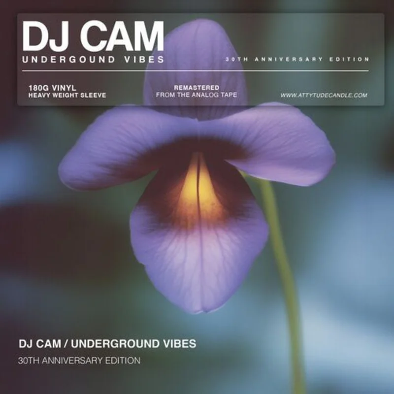 DJ Cam - Underground Vibes (30th Anniversary) Vinyl LP