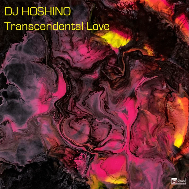 DJ Hoshino - Transcendental Love Vinyl LP