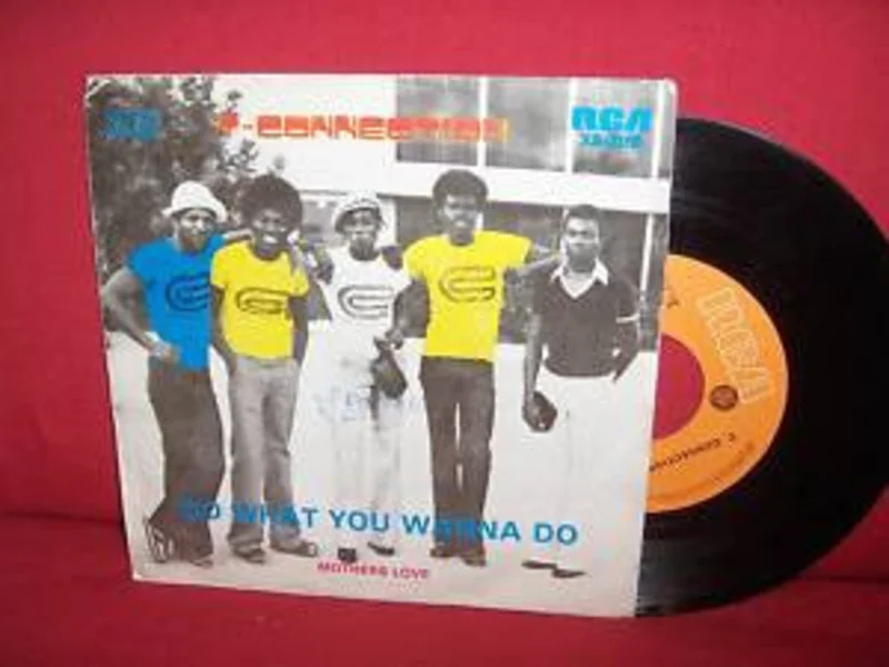 Do What You Wanna Do / Mother's Love