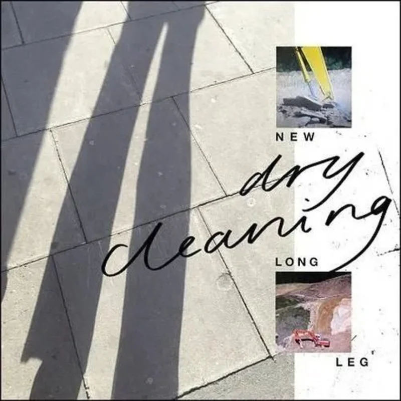 Dry Cleaning - New Long Leg Vinyl Record