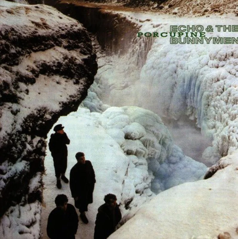 Echo & The Bunnymen - Porcupine (Rocktober 2021) Vinyl LP
