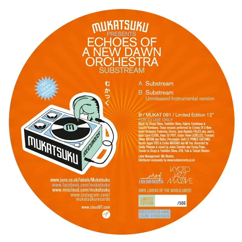 Echoes of a New Dawn Orchestra - Substream Vinyl 12"