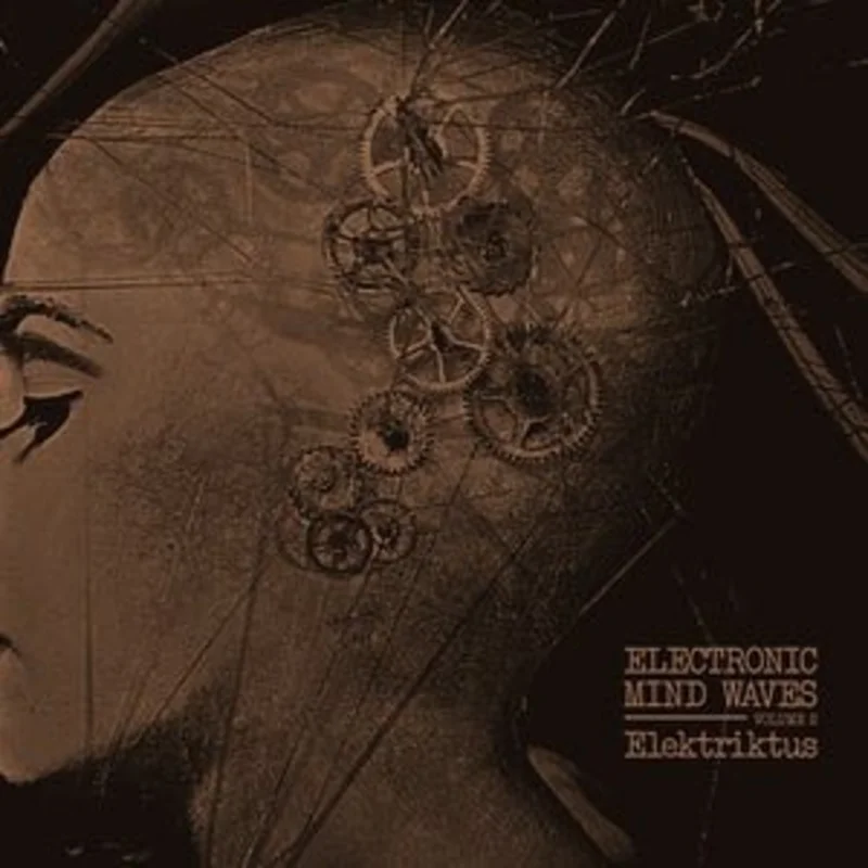 Elektriktus - Electronic Mind Waves 2 Vinyl LP