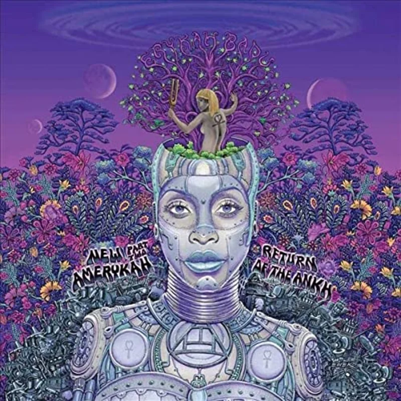 Erykah Badu New Amerykah Part Two (Return Of The Ankh) [Violet 2 LP] - (M) (ONLINE ONLY!!)