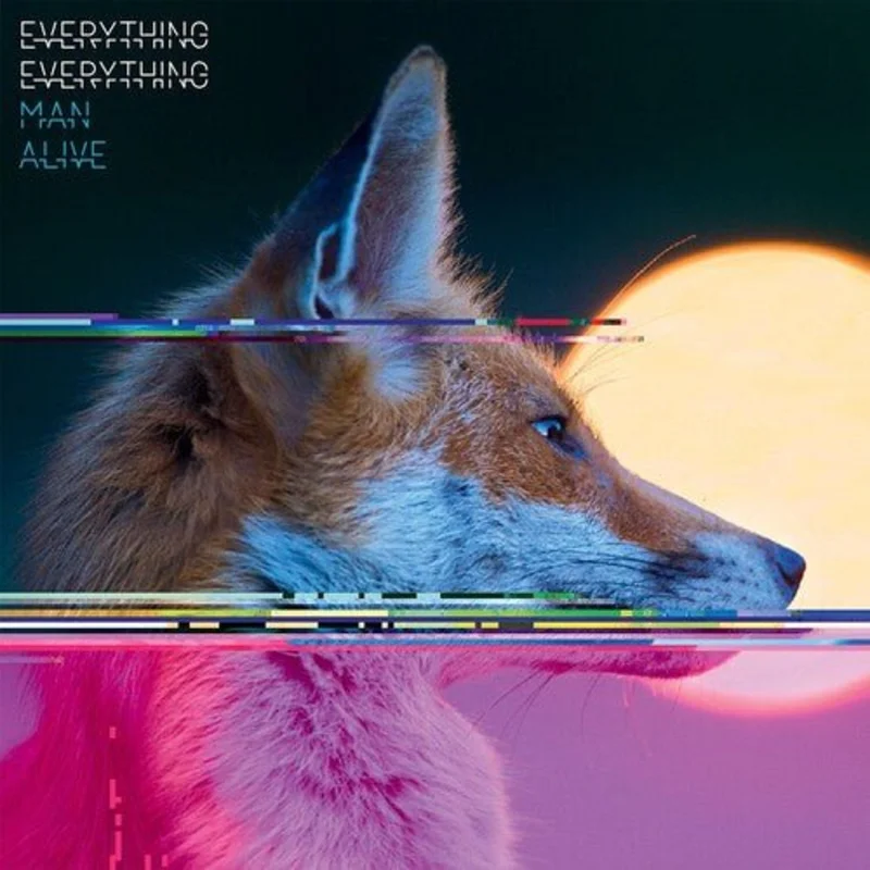 Everything Everything - Man Alive Vinyl LP