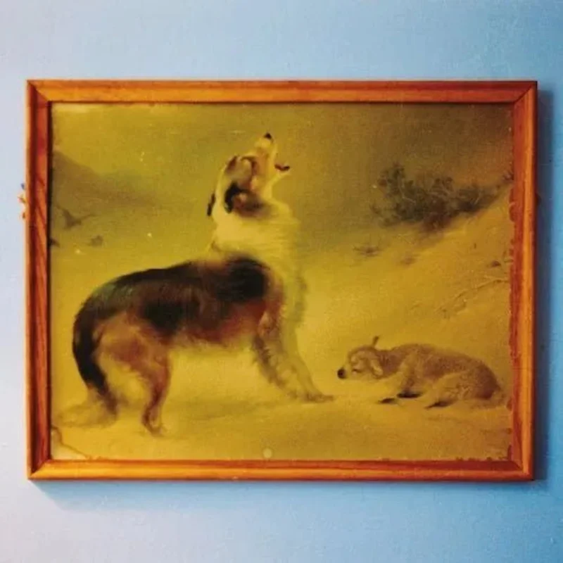 Explosions In The Sky - The Rescue (Anniversary Edition) - Vinyl Record