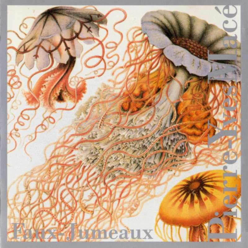 Faux-Jumeaux