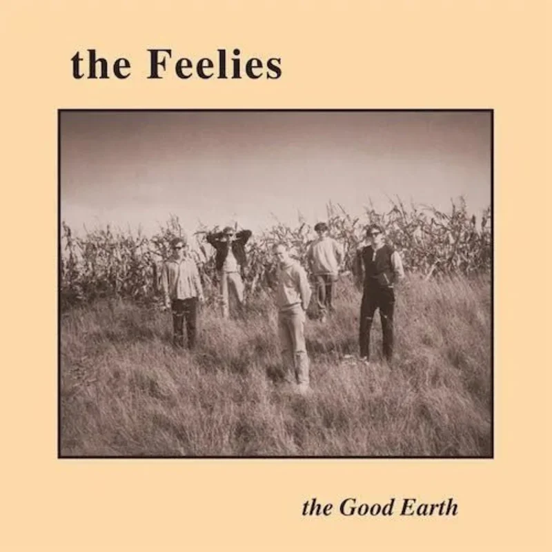 Feelies, The  - The Good Earth - Vinyl Record