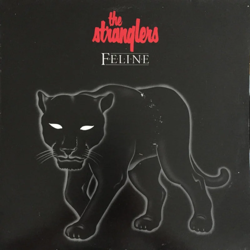 Feline
