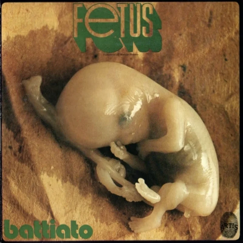 Fetus
