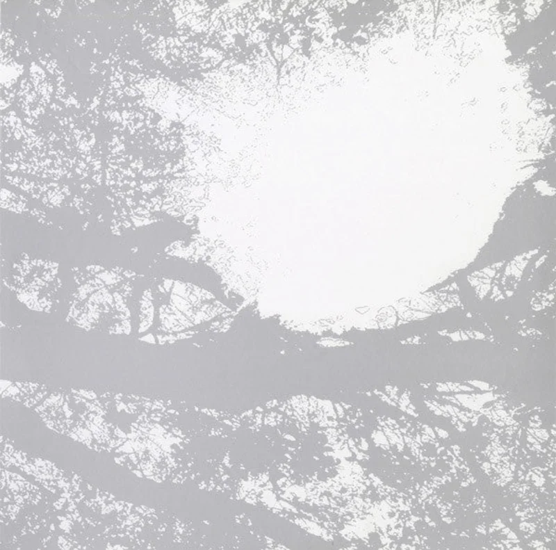 Field Recordings From The Sun