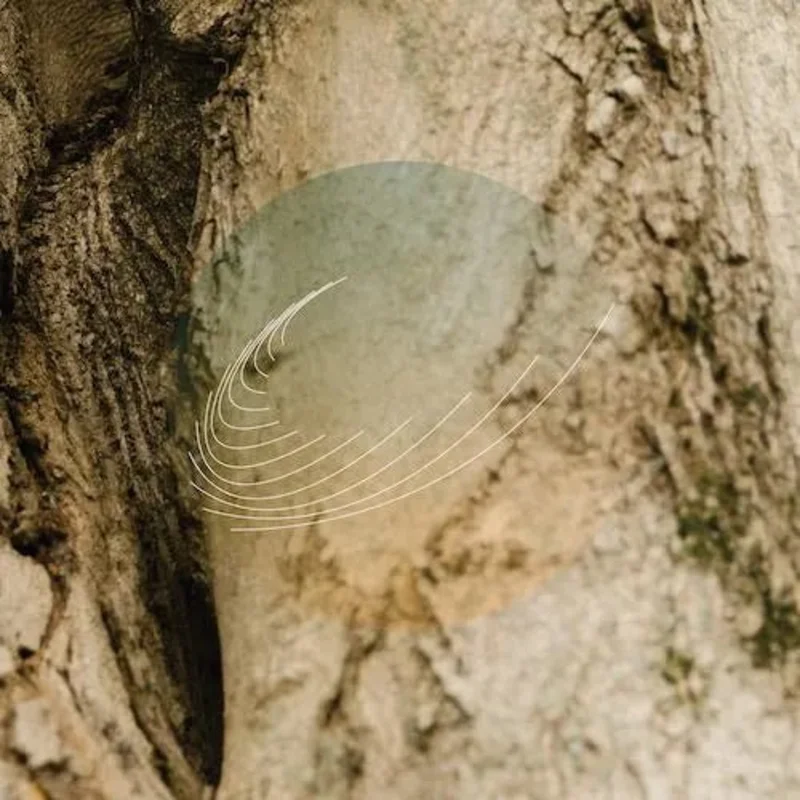 Field Works - Maples, Ash, and Oaks: Cedars Instrumentals [Limited Edition Iridescent Mother of Pearl w/ Green Undertone Color Vinyl Record
