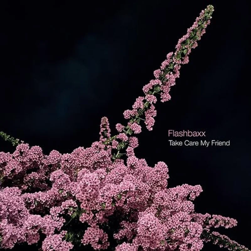 Flashbaxx - Take Care My Friend Vinyl LP