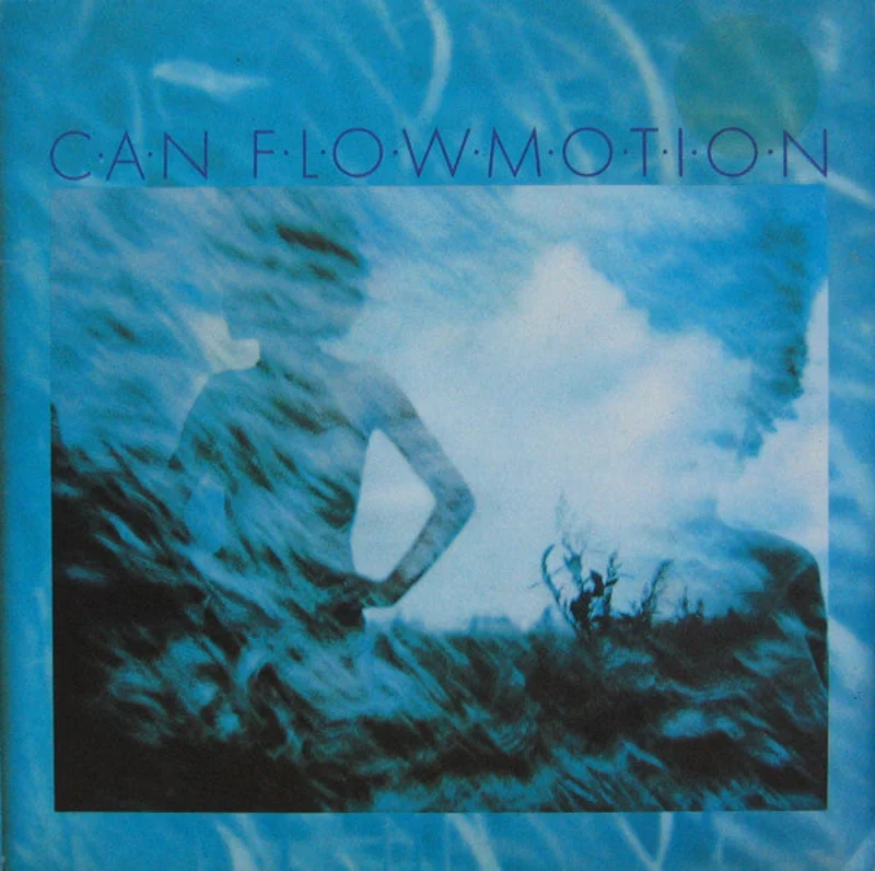 Flow Motion