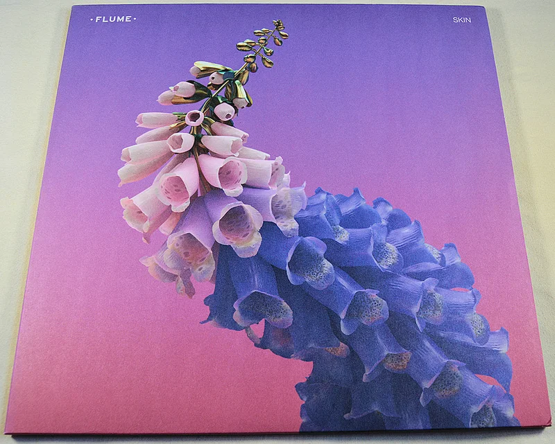 Flume - Skin