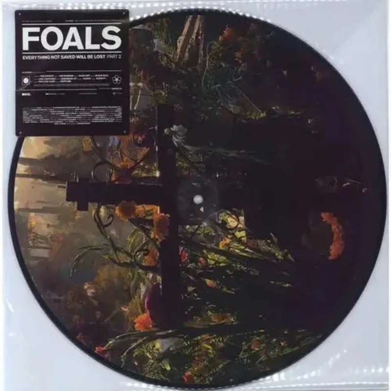 Foals - Everything Not Saved Will Be Lost Part 2 - Picture Disc Vinyl Record