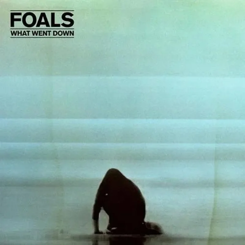 Foals - What Went Down Vinyl Record