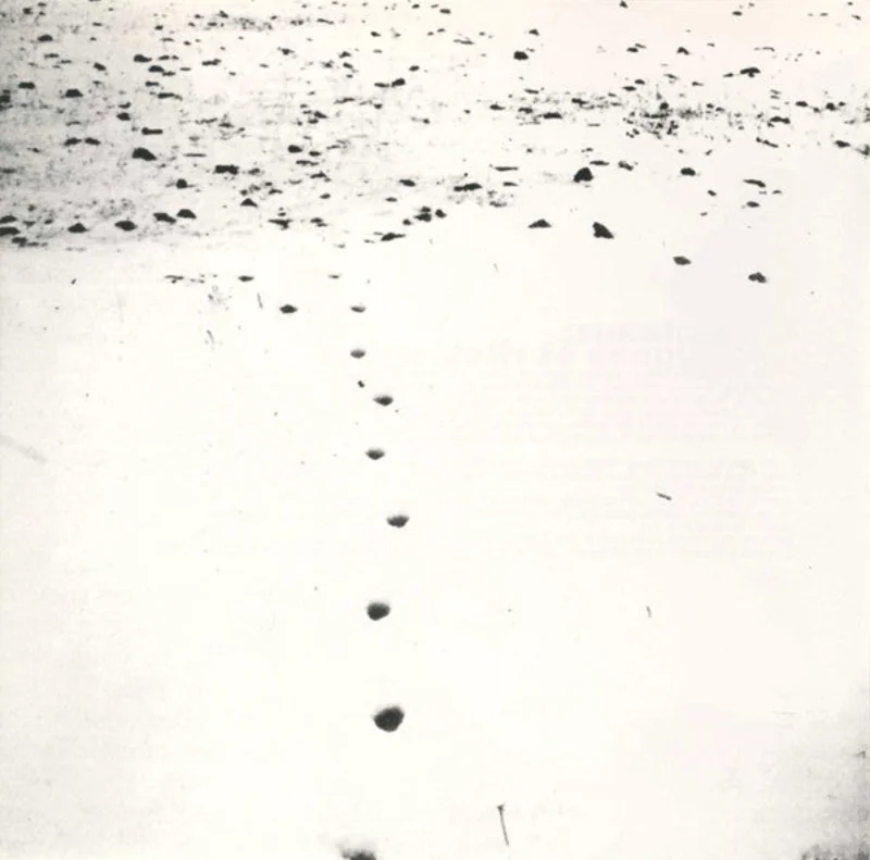Folds And Rhizomes For Gilles Deleuze