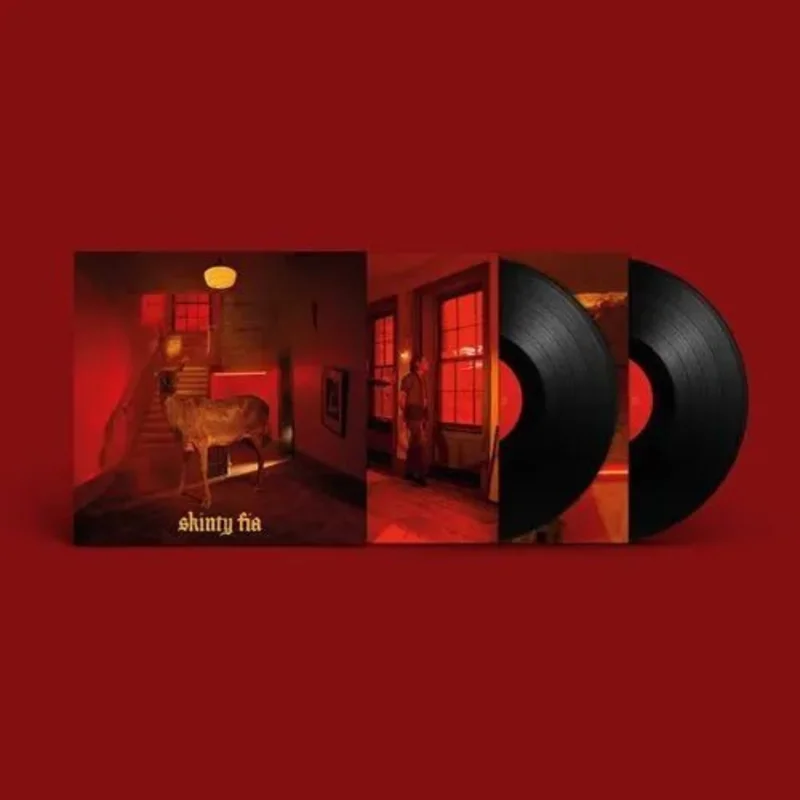 Fontaines D.C. - Skinty Fia - Deluxe Vinyl Record 2LP 45 RPM 180g *