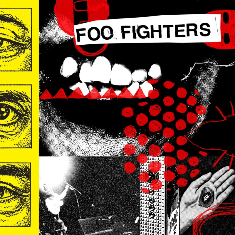 Foo Fighters - Your Favorite Toy Vinyl LP