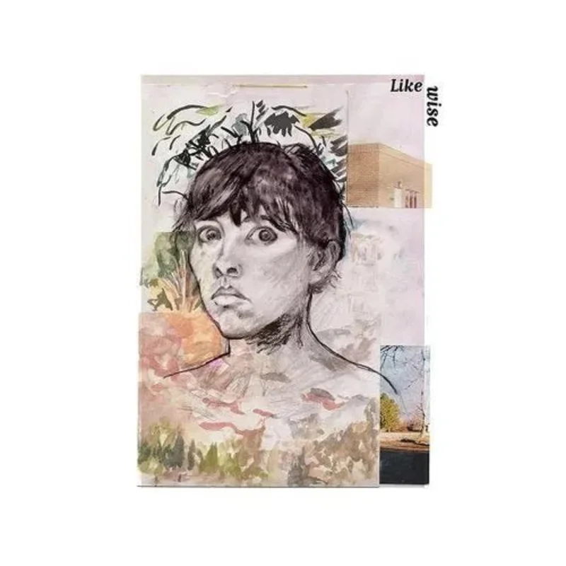 Frances Quinlan (from Hop-Along) - Likewise - Vinyl Record
