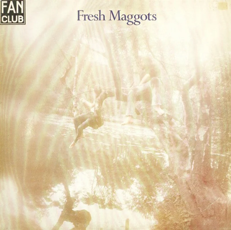 Fresh Maggots