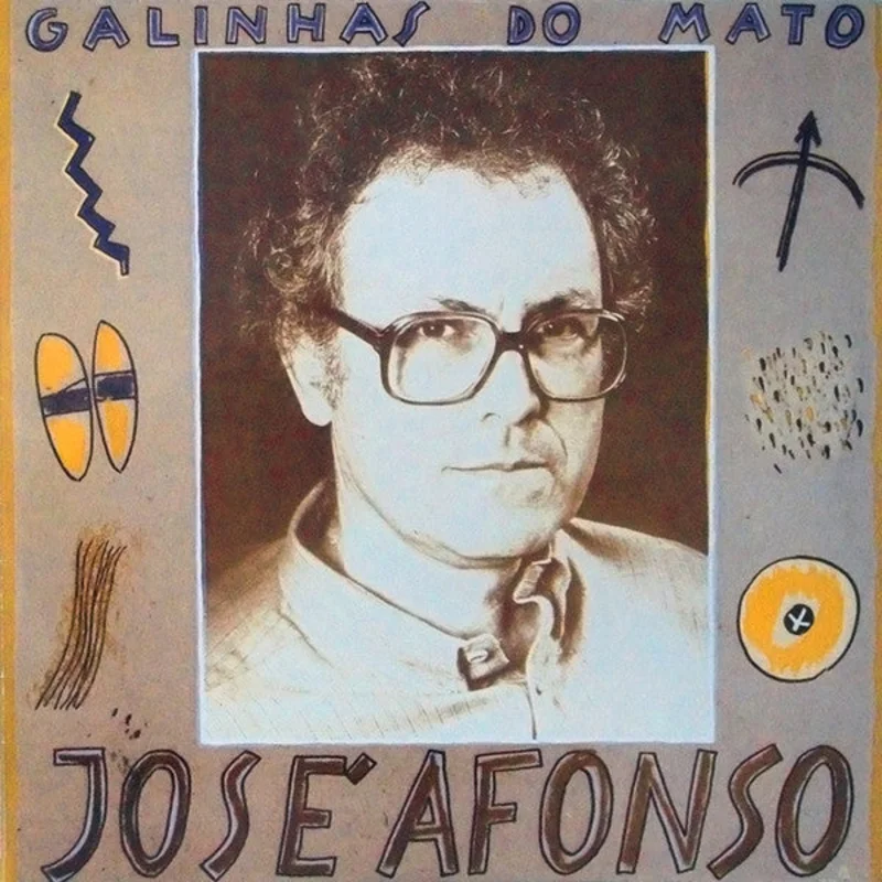 Galinhas Do Mato