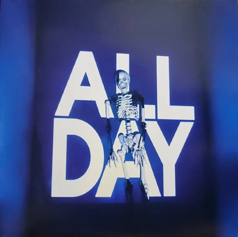 Girl Talk - All Day Vinyl LP