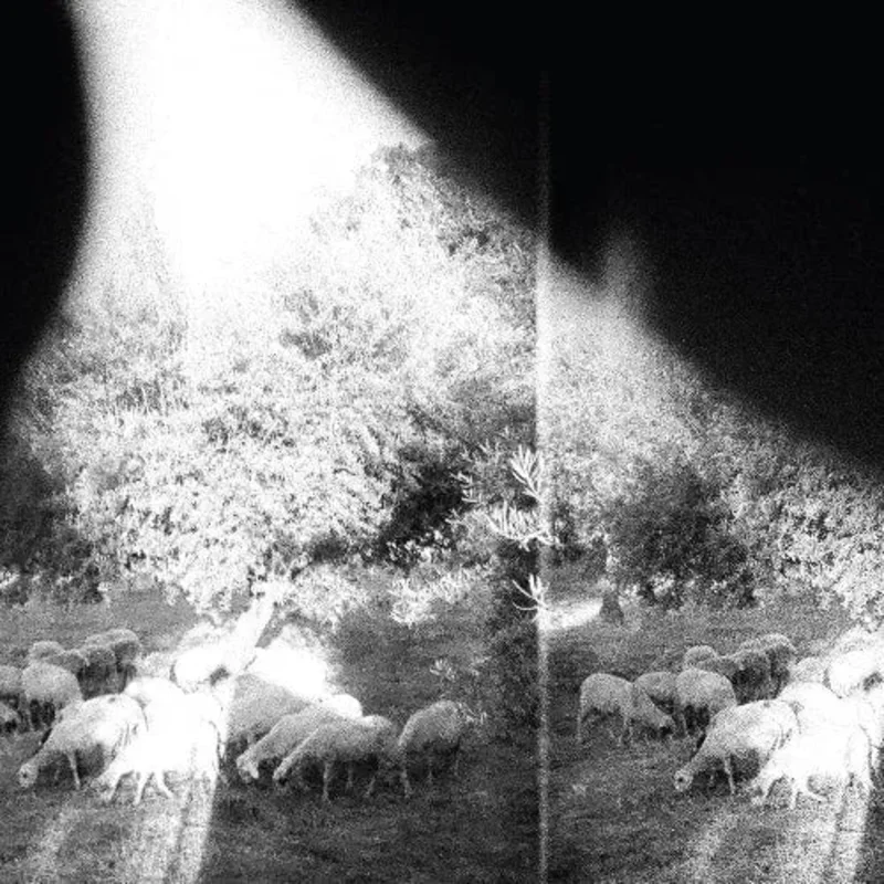 Godspeed You! Black Emperor - Asunder, Sweet And Other Distress - Vinyl Record