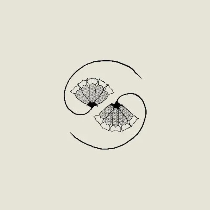 Godspeed You! Black Emperor - G_d's Pee AT STATE'S END! - Vinyl Record + 10"