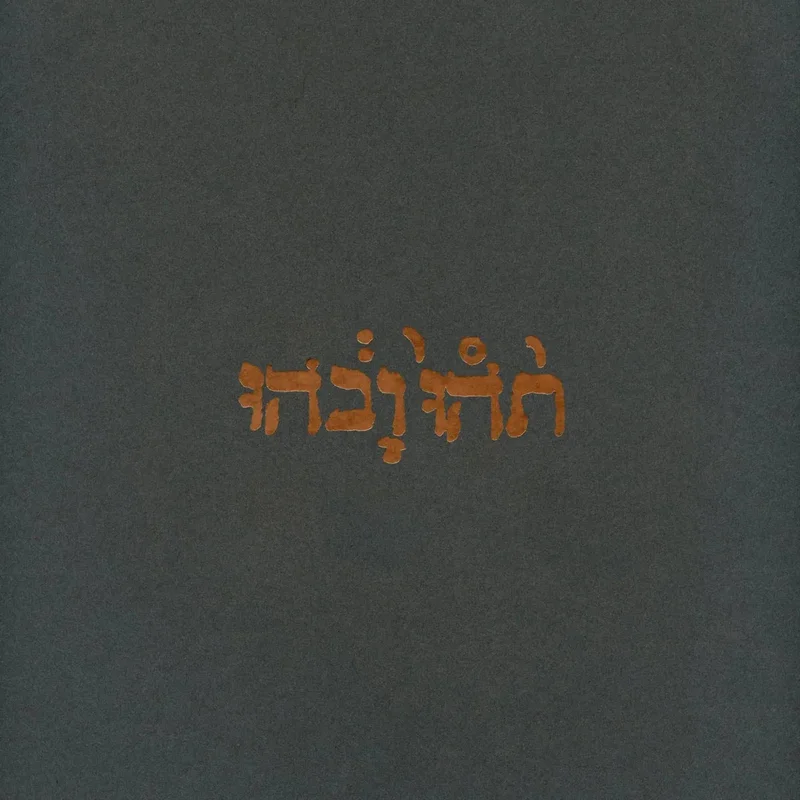 Godspeed You! Black Emperor - Slow Riot For New Zero Kanada - Vinyl Record