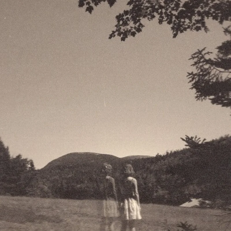 Goldmund - Malady Of Elegance