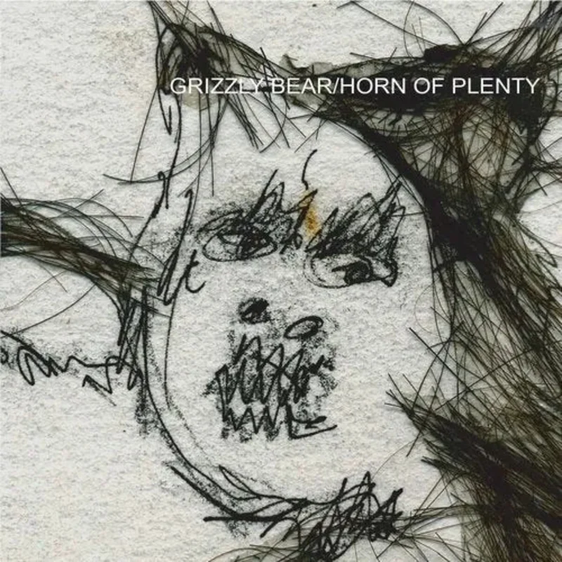 Grizzly Bear - Horn of Plenty [Limited Edition Cloudy Clear Color Vinyl]