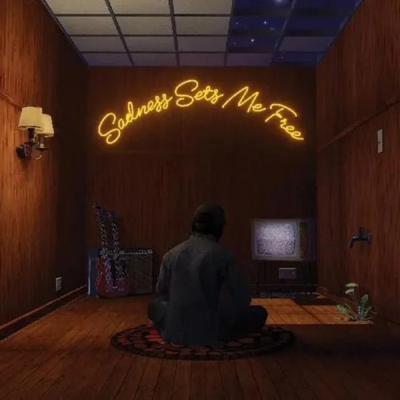 Gruff Rhys - Sadness Sets Me Free - Blackberry Neo-Neapolitan Color Vinyl