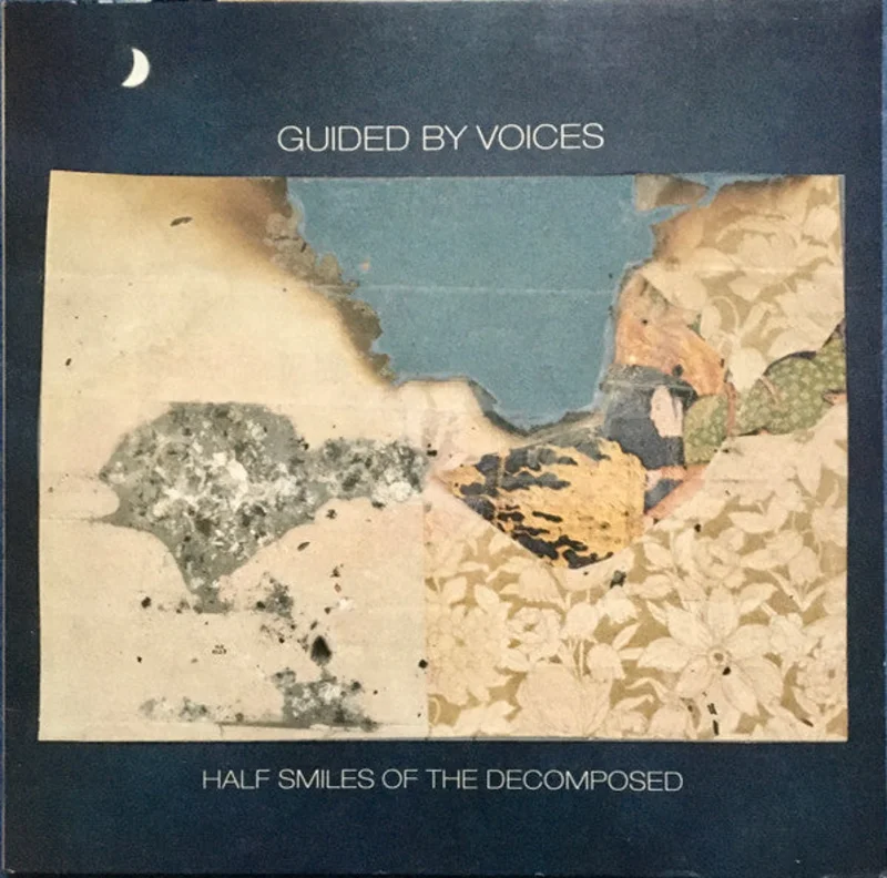 Half Smiles Of The Decomposed