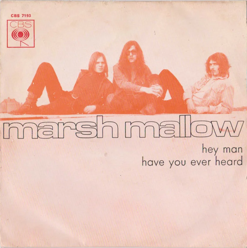 Hey Man / Have You Ever Heard