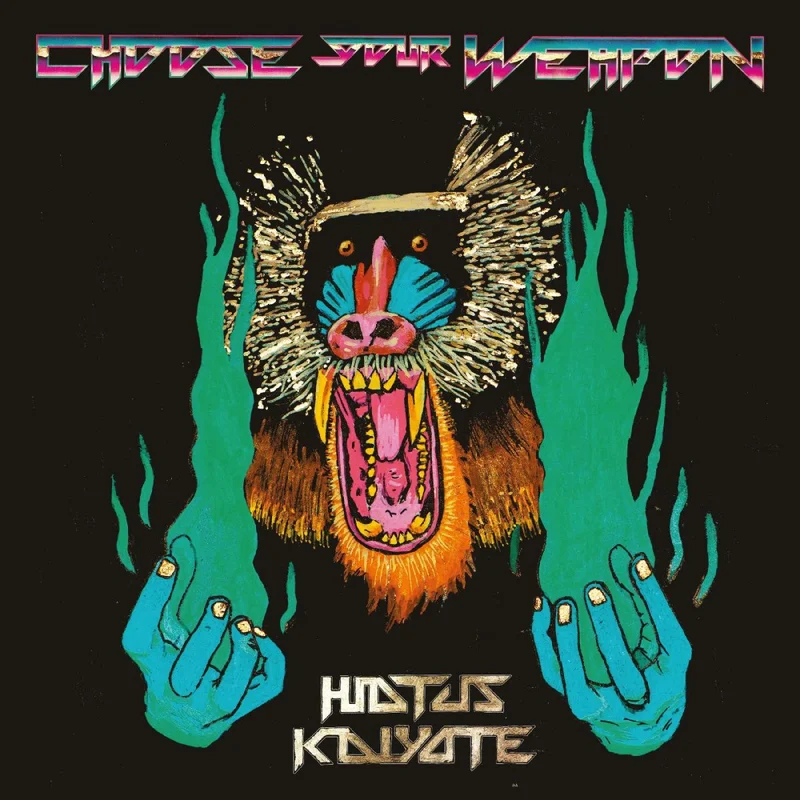 Hiatus Kaiyote - Choose Your Weapon Vinyl LP