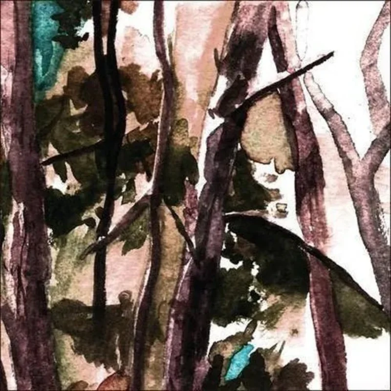 Hop Along - Bark Your Head Off, Dog - Vinyl Record