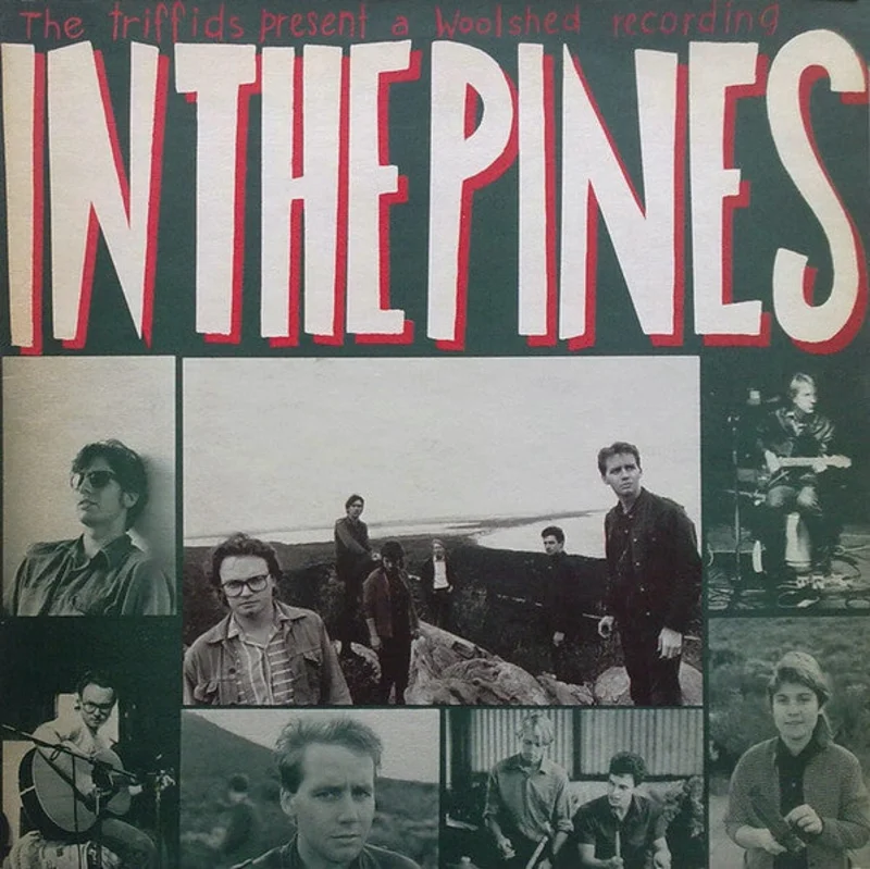 In The Pines