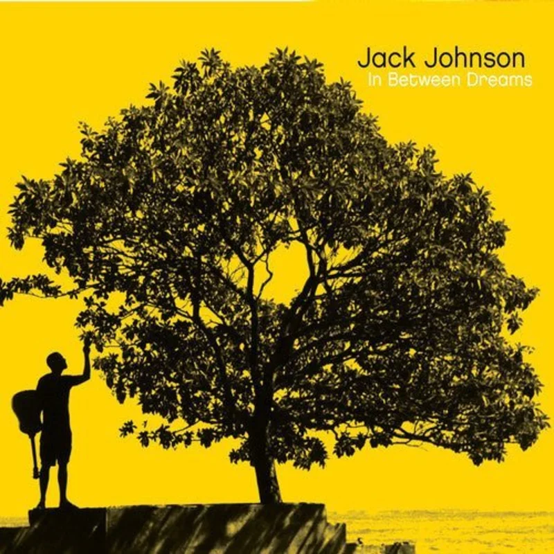 Jack Johnson - In Between Dreams Vinyl LP
