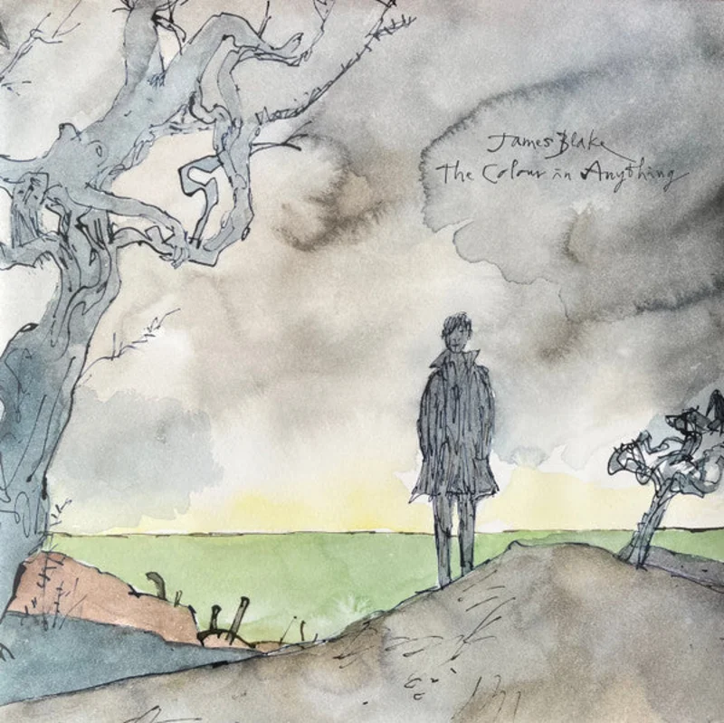 James Blake - The Colour In Anything (Arrives in 4 days)