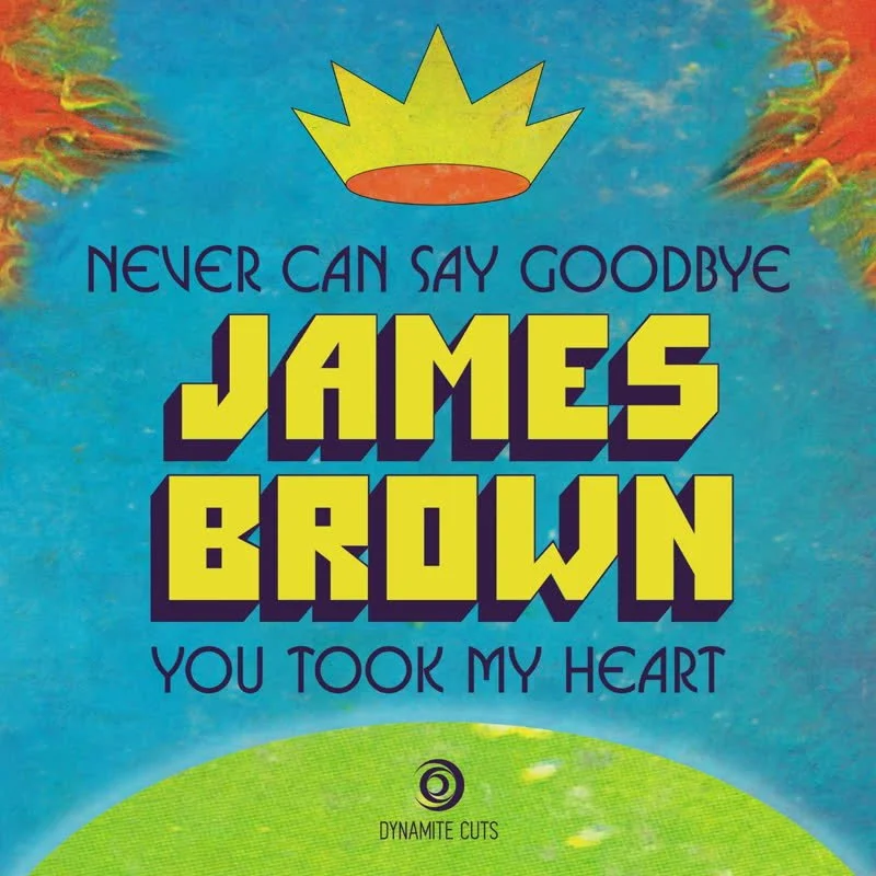 James Brown - Never Can Say Goodbye Vinyl 7"
