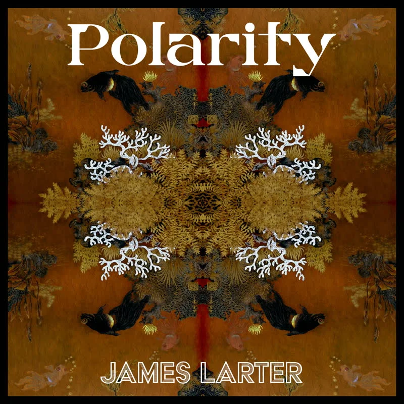 James Larter - Polarity Vinyl LP