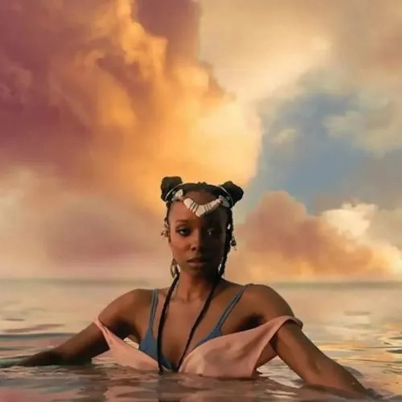 Jamila Woods - Heavn - Vinyl Record LP New